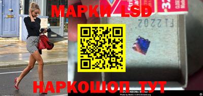молекула духа Кингисепп