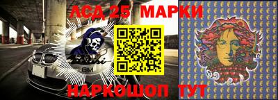 молекула духа Кингисепп