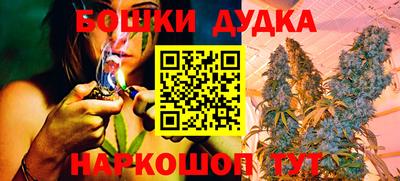 молекула духа Кингисепп
