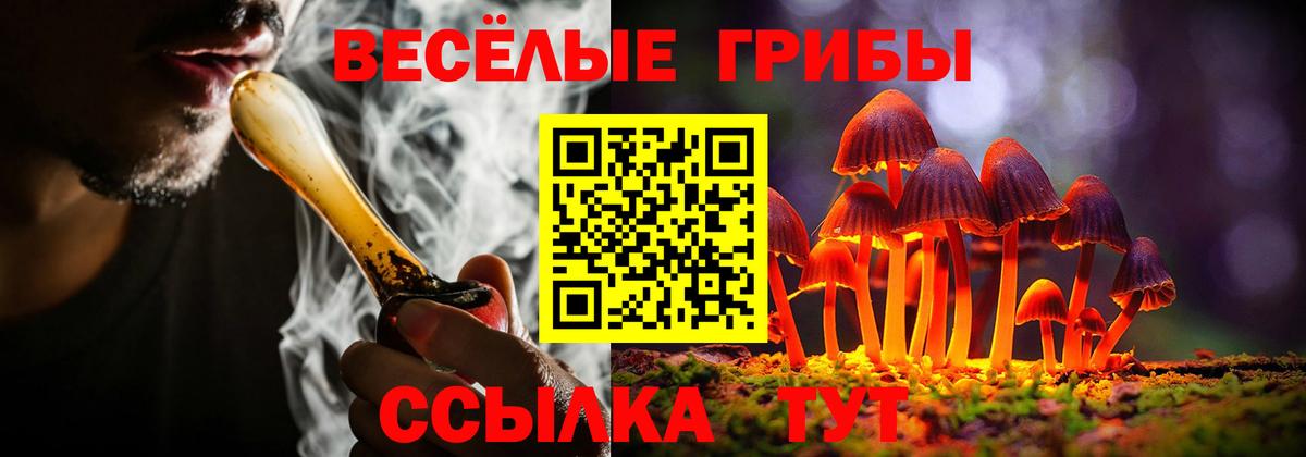 Иваново  Галлюциногенные грибы ЛСД  Вход с VPN 